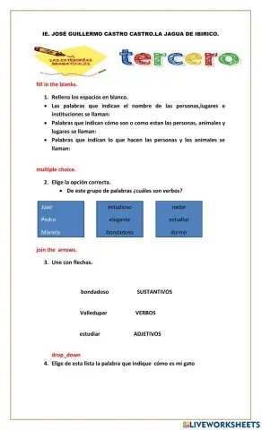 Categorias gramaticales