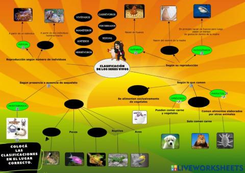 Clasificación de los seres vivos