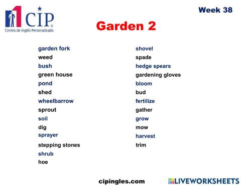 Garden 2 week 38
