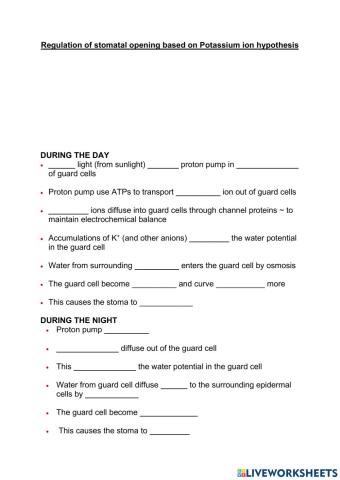 Regulation of stomatal opening