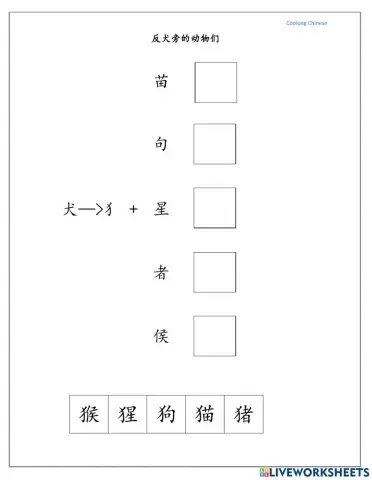 Chinese Reading