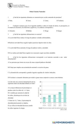 Alimentación y salud