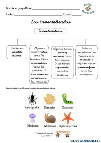 Los animales invertebrados