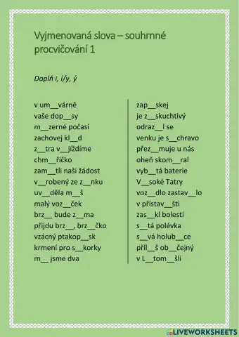 Vyjmenovaná slova - souhrnné procvičování 1