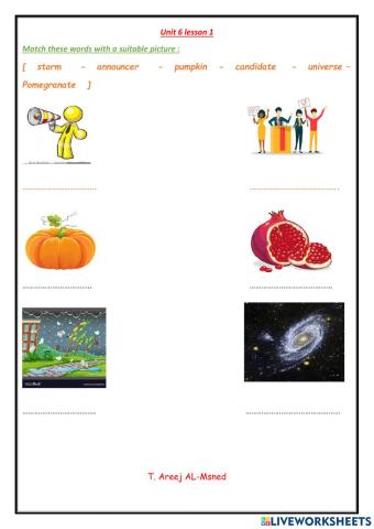 Mega2- unit 6 lesson 1