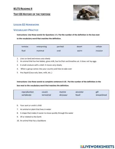 IELTS Vocabulary Practice History of the Tortoise