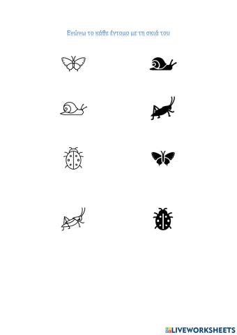 Παίζοντας με τα έντομα και τις σκιές τους