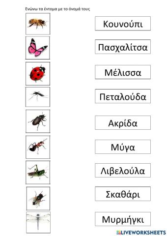 Ενώνω τα έντομα με το όνομά τους