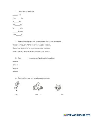 Concurso de ortografía