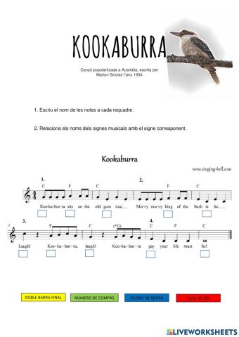 Kookaburra