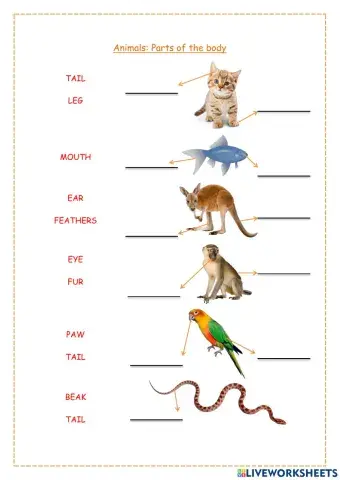 Animals: Parts of the body