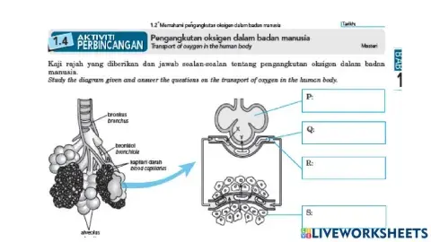 2.2 Pertukaran gas dalam badan