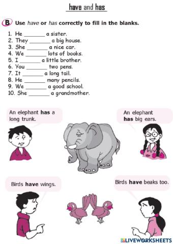 Have and Has Exercise 2