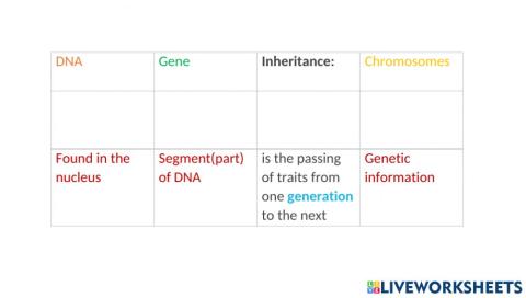 Cells - Chromosomes - DNA