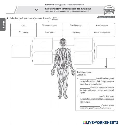 Bab 1: Rangsangan & Gerak Balas
