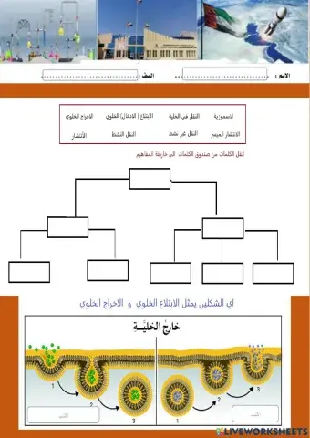انواع النقل