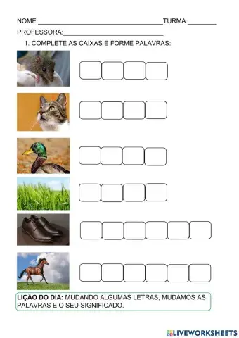 Formação de palavras