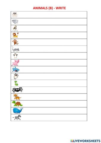 Animals (B) - WRITE
