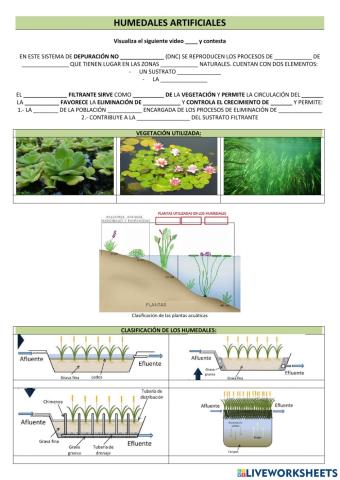 Humedales artificiales