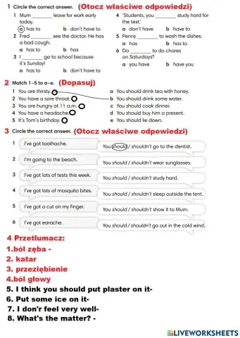 English Class A2 klasa 6 Grammar i Vocabulary