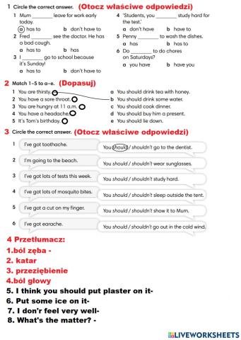 English Class A2 klasa 6 Grammar i Vocabulary