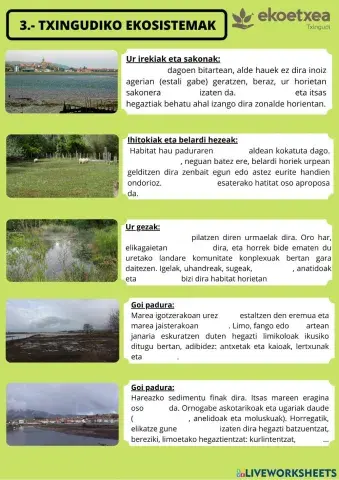 Txingudiko ekosistemak