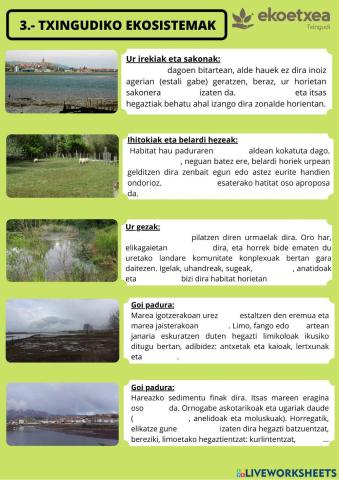 Txingudiko ekosistemak