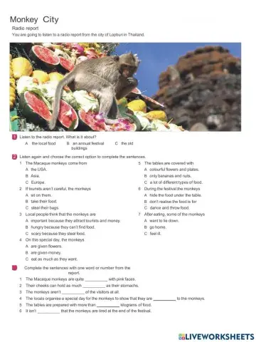 Listening B1: Monkeys