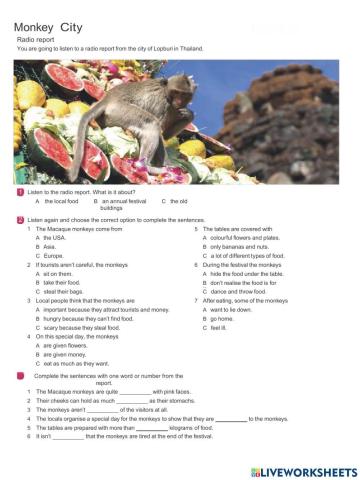 Listening B1: Monkeys