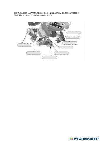 Les parties du corps