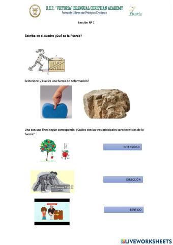 La fuerza y sus efectos