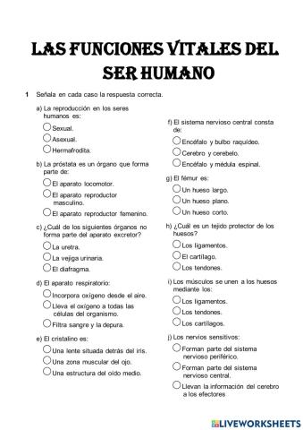 Ejercicios funciones motoras