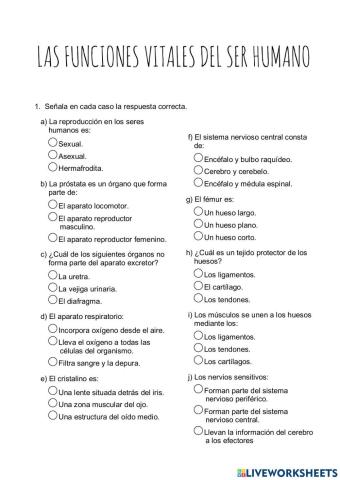 Ejercicios Funciones vitales del ser humano