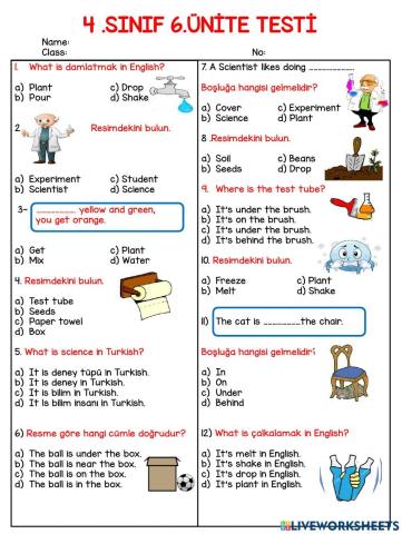 4.6 Fun With Science Test