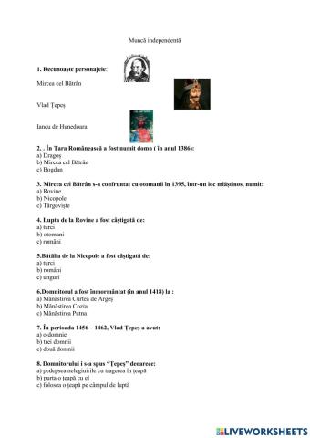 Domnitori români de seamă(I)