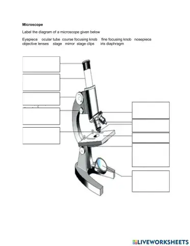 Lable the microscope