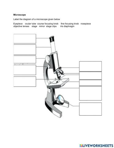 Lable the microscope