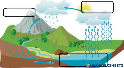Ciclo del agua xilapy
