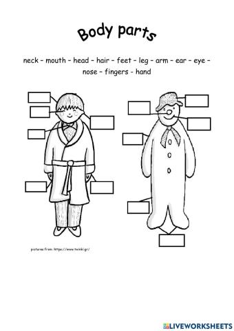 Body parts