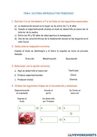 Sistema Reproductor Femenino