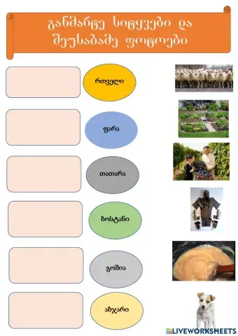 Სიტყვების განმარტება