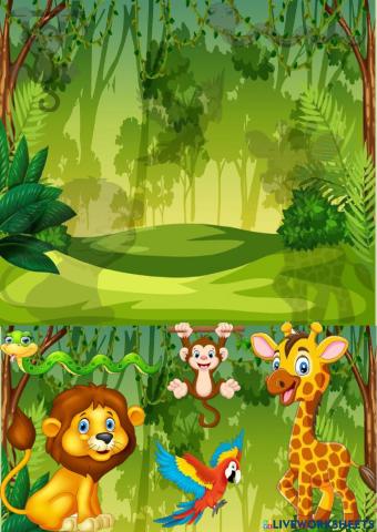 Animales de la selva