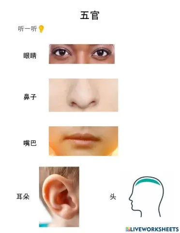 Face parts 五官