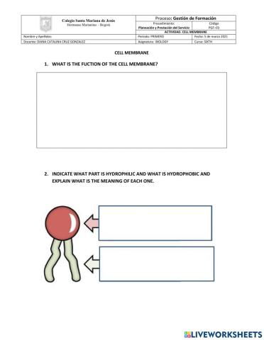 Trasport across cell membrane