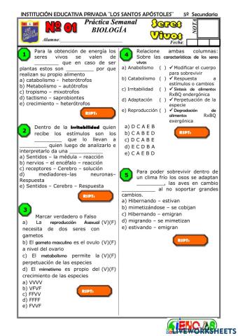 Práctica de seres vivos