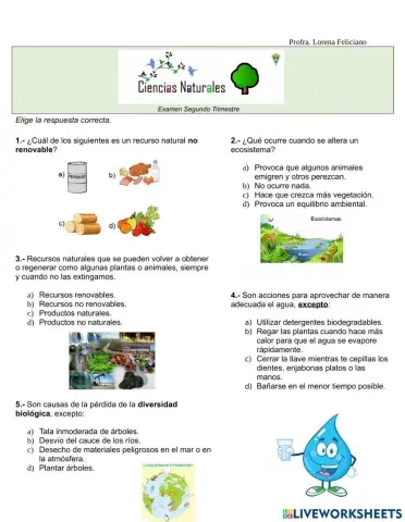 Examen segundo trimestre Ciencias Naturales Quinto