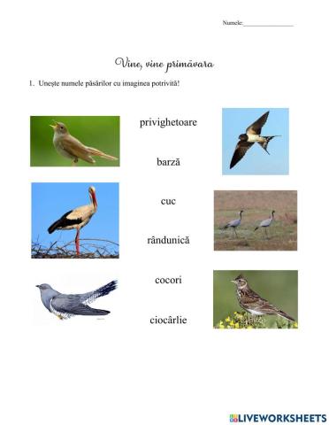 Vine, vine primavara