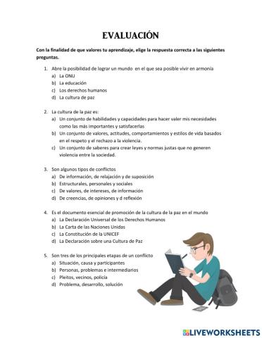 Evaluacíon cultura de paz