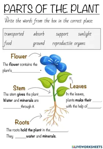 Parts of the plant