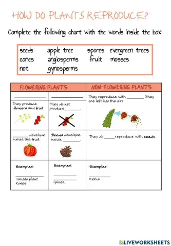 Classifying plants by reproduction